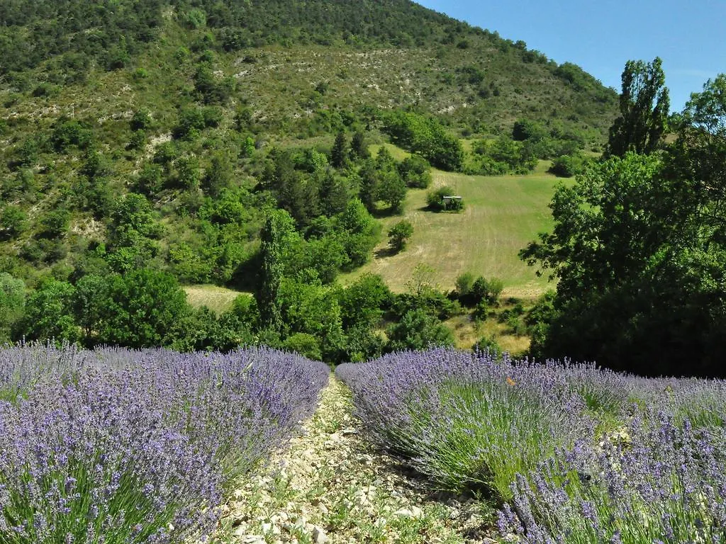 Luxury Villa With Jacuzzi In Carpentras Provence